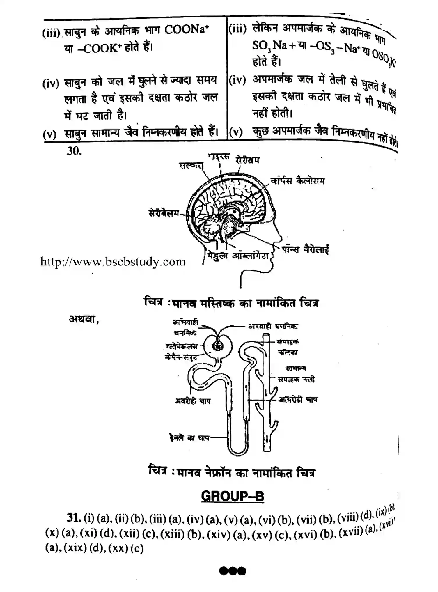 Bihar Board Class 10 2016 SCIENCE-P1 Finals - Page 8
