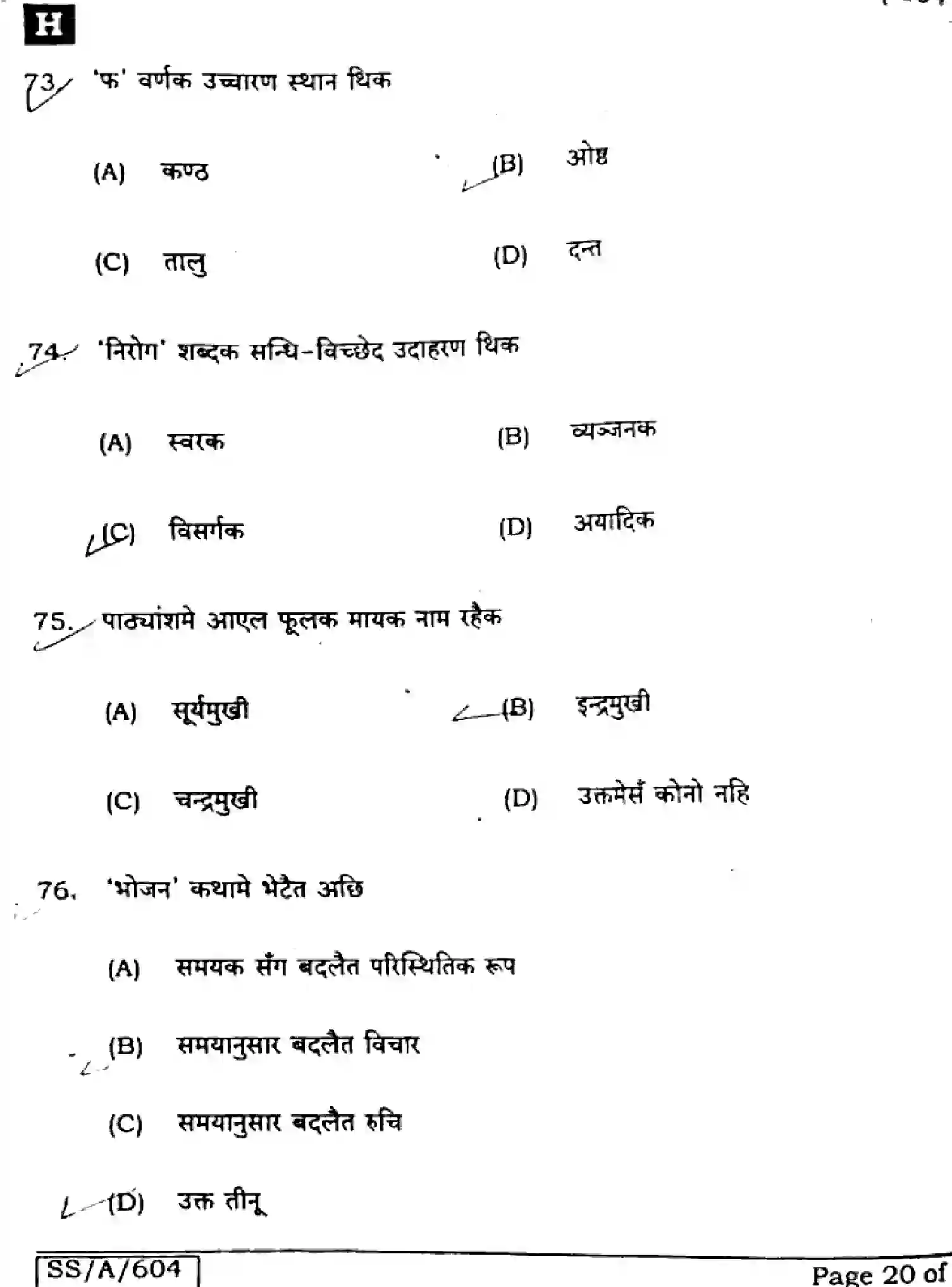 Bihar Board Class 10 2025 MAITHILI-MT-104-SET-H Finals - Page 20