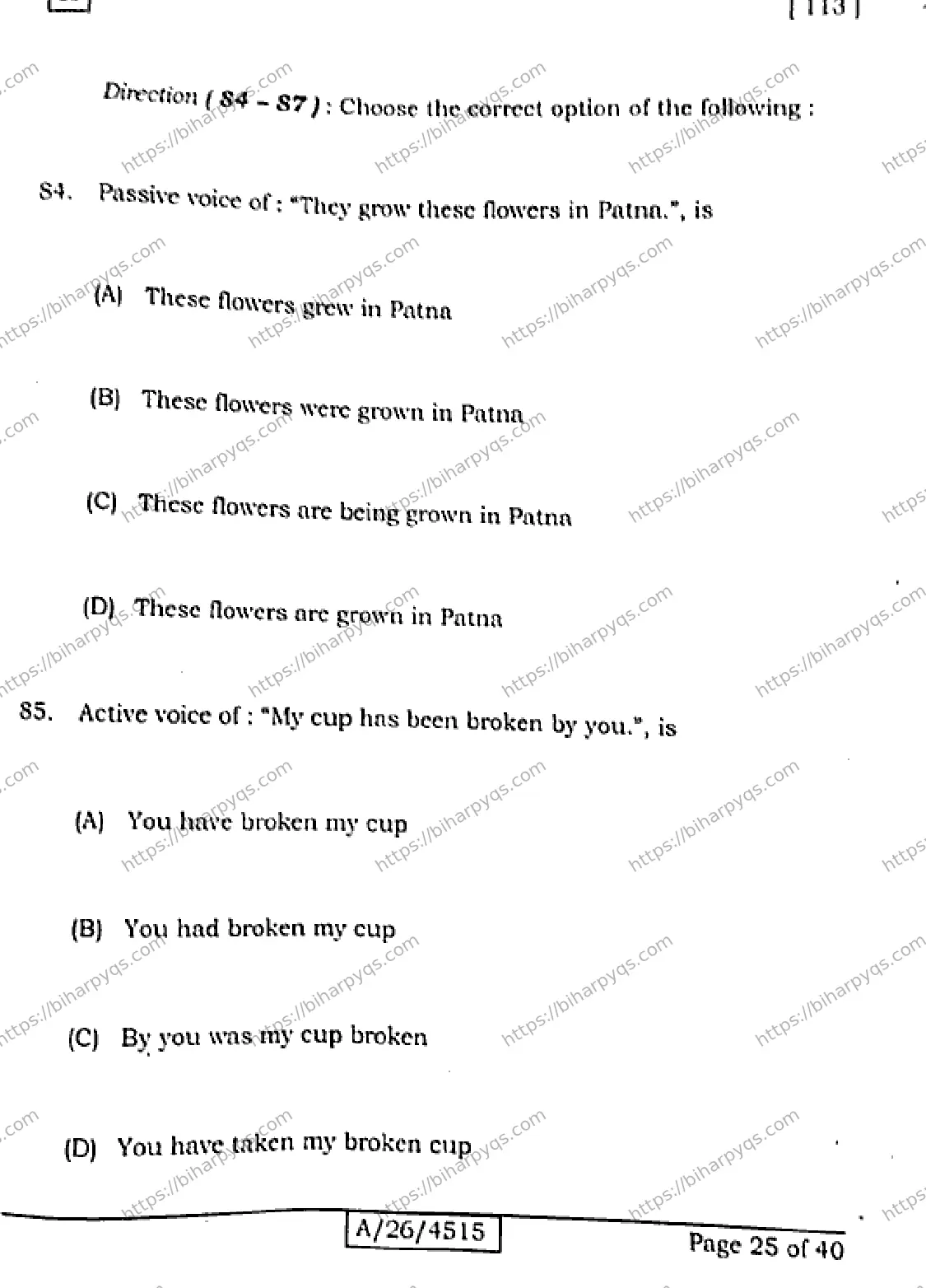 Bihar Board Class 10 2026 ENGLISH SET A Finals - Page 25