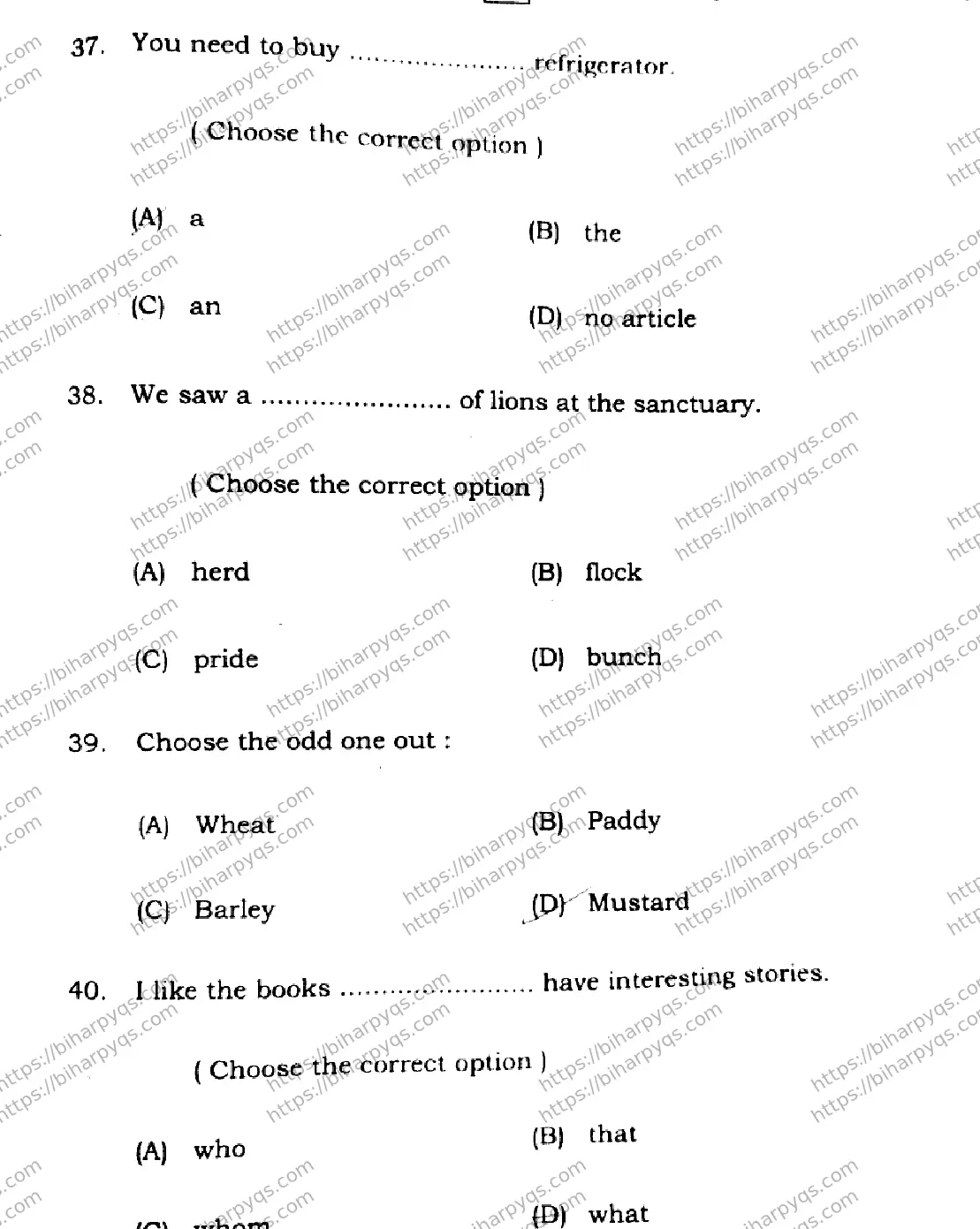 Bihar Board Class 12 2026 ENGLISH SET C-2 Question Bank - Page 13